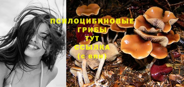 PSILOCYBIN Верхний Тагил